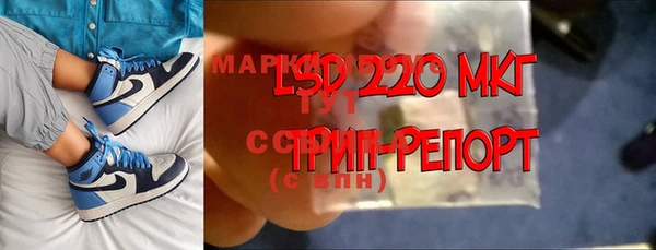 хмурый Алзамай