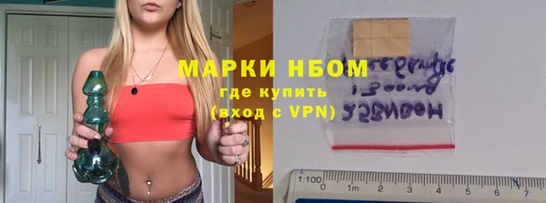 хмурый Алзамай