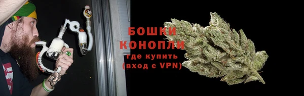 PSILOCYBIN Алексеевка