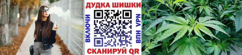 Конопля индика  цена наркотик  mega вход  Приморск 